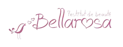 Institut Bellarosa